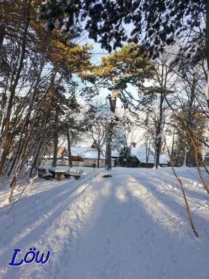 27.1.2021 - Hurra, Schnee ist wieder da